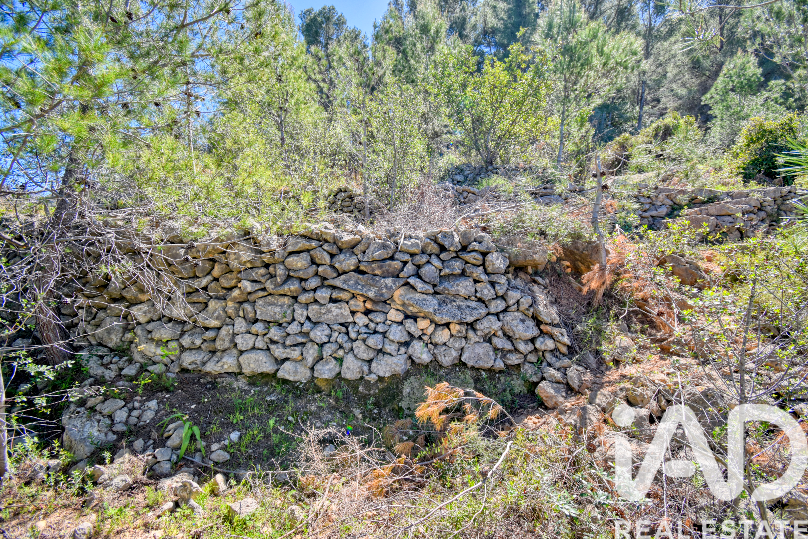 Land plot à Pego, Alicante, Espagne 3910 m2 No. 184885