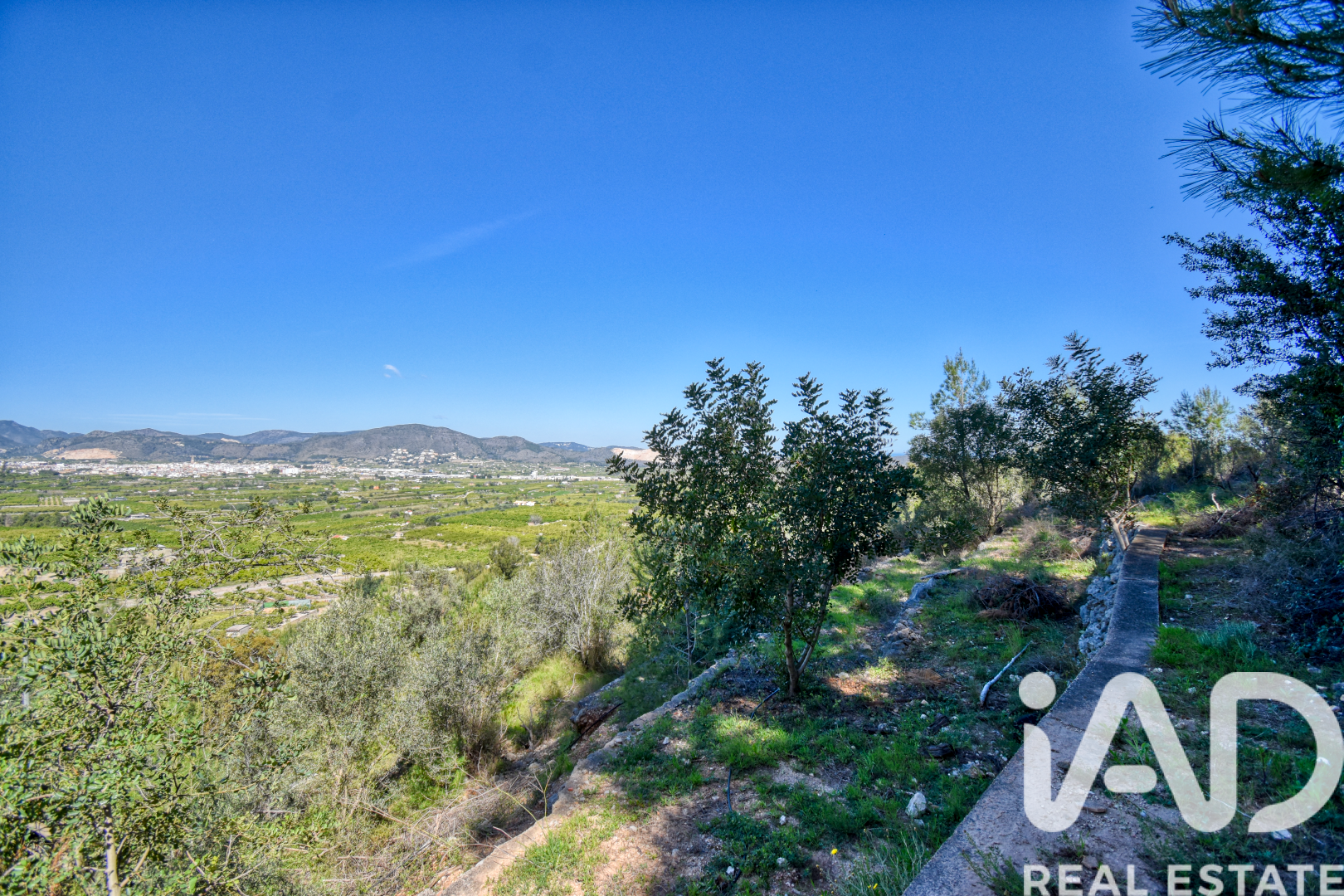 Land plot à Pego, Alicante, Espagne 3910 m2 No. 184885