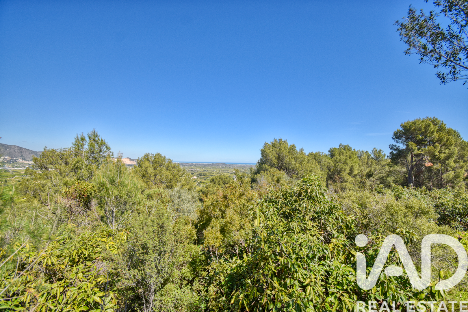 Land plot à Pego, Alicante, Espagne 3910 m2 No. 184885