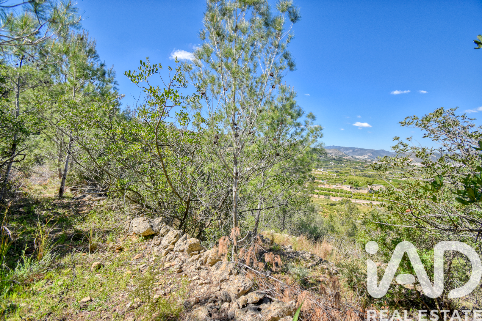 Land plot à Pego, Alicante, Espagne 3910 m2 No. 184885