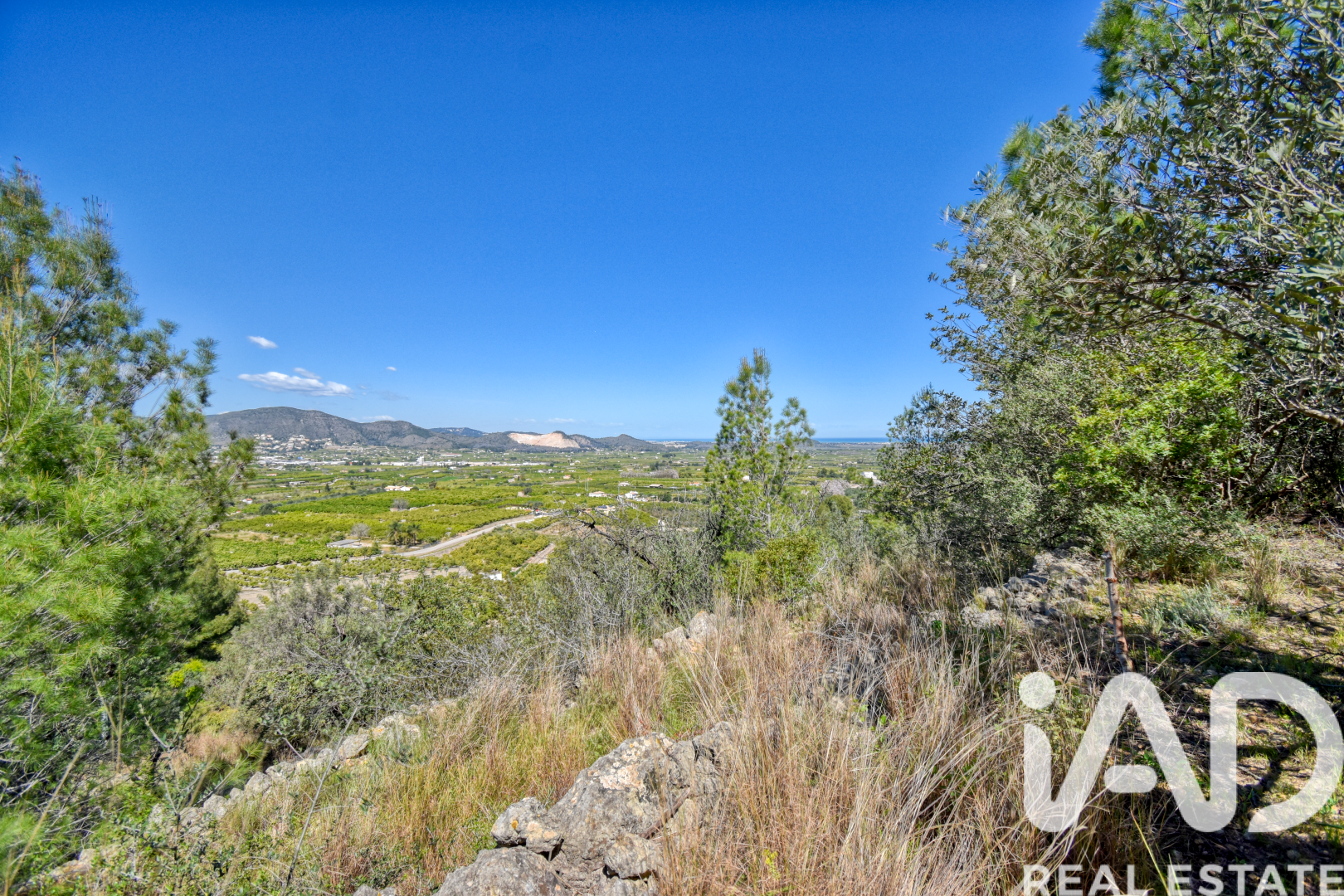 Land plot à Pego, Alicante, Espagne 3910 m2 No. 184885