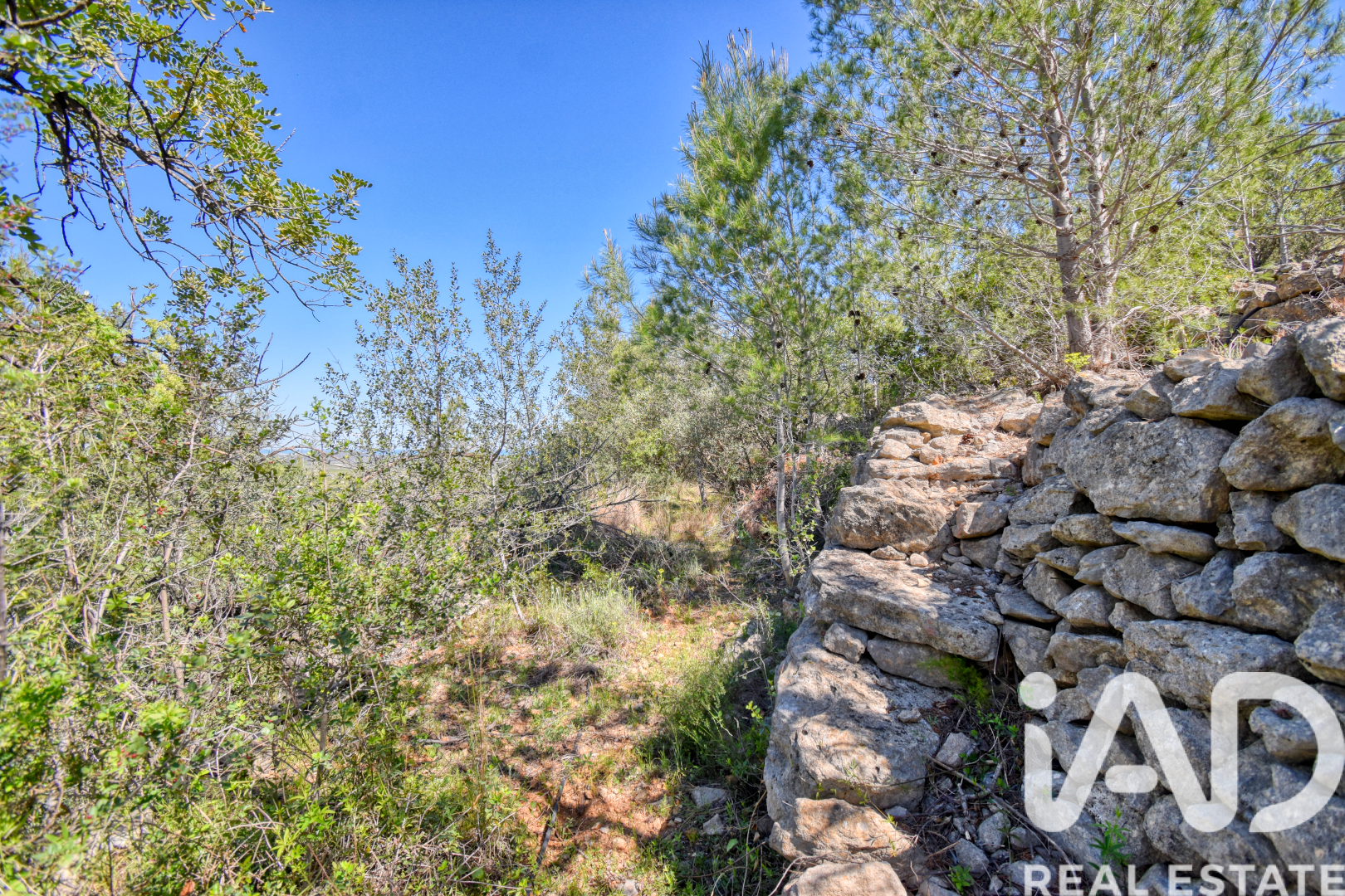 Land plot à Pego, Alicante, Espagne 3910 m2 No. 184885