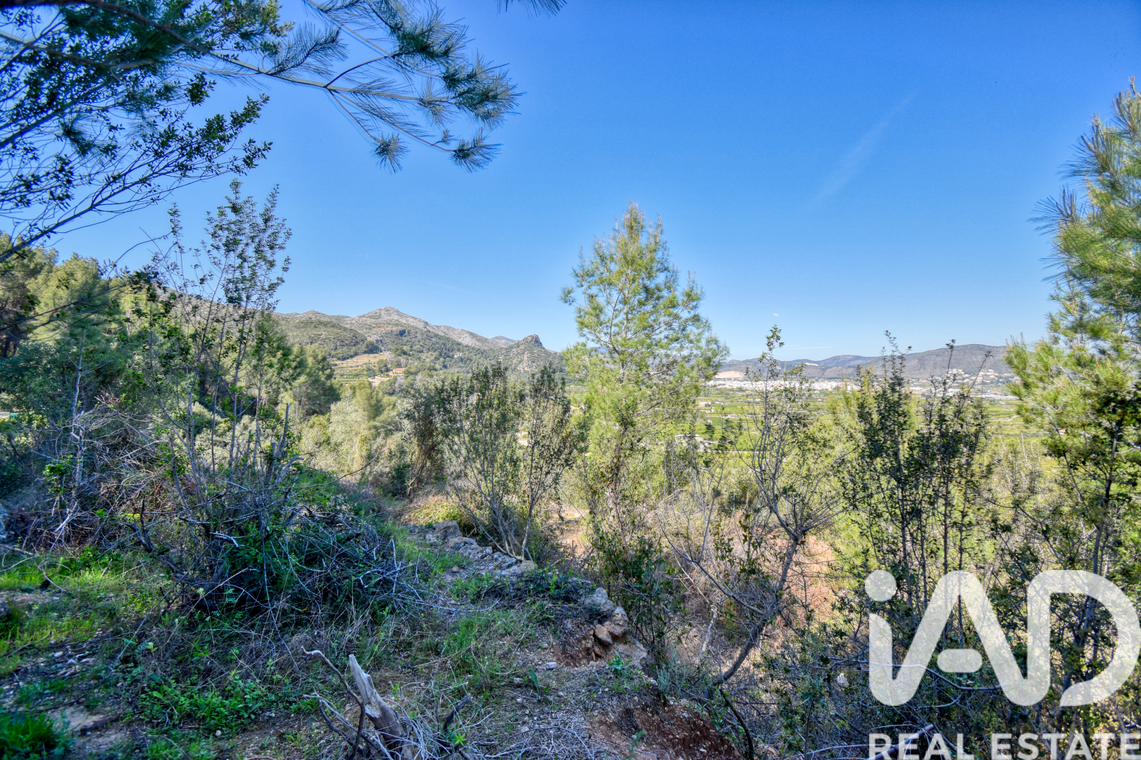 Land plot à Pego, Alicante, Espagne 3910 m2 No. 184885