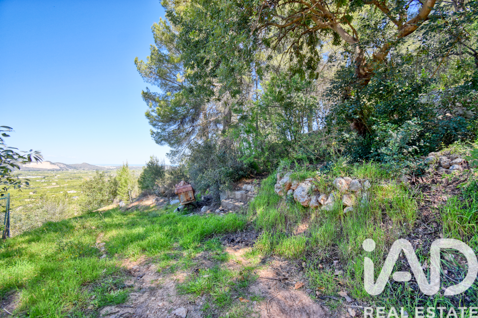 Land plot à Pego, Alicante, Espagne 3910 m2 No. 184885