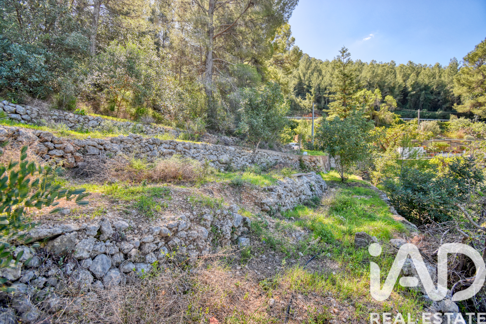 Land plot à Pego, Alicante, Espagne 3910 m2 No. 184885