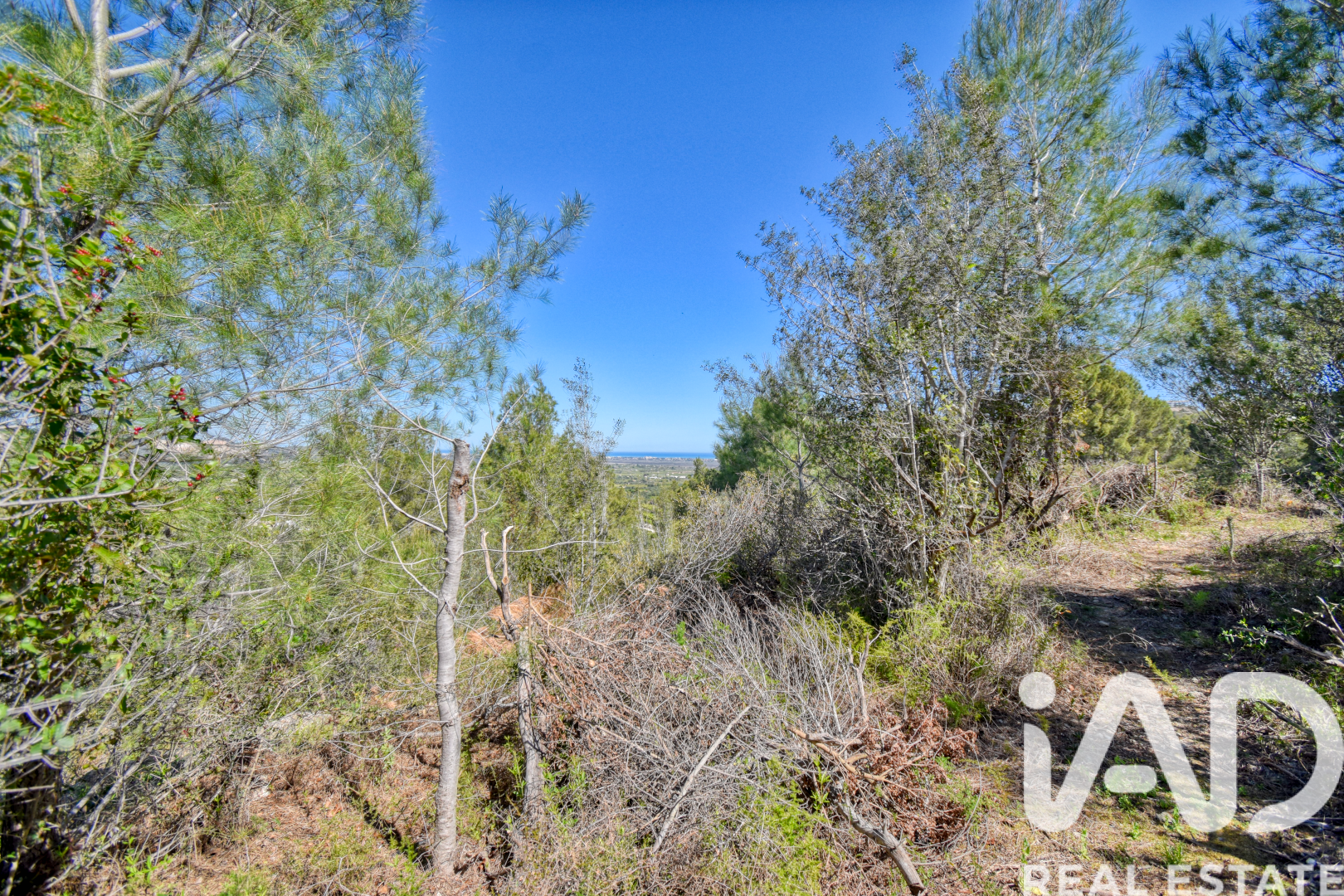 Land plot à Pego, Alicante, Espagne 3910 m2 No. 184885