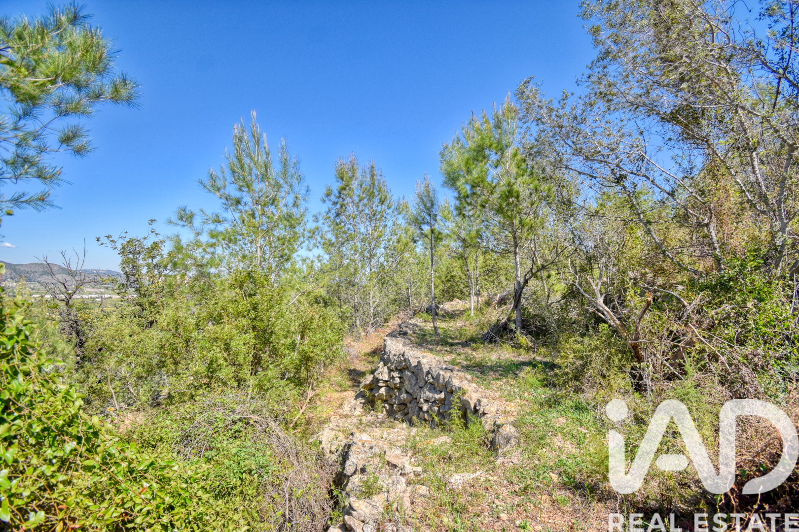 Land plot à Pego, Alicante, Espagne 3910 m2 No. 184885
