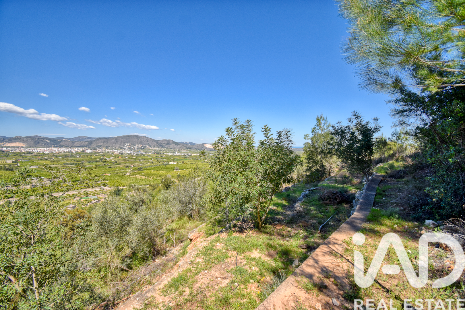 Land plot à Pego, Alicante, Espagne 3910 m2 No. 184885