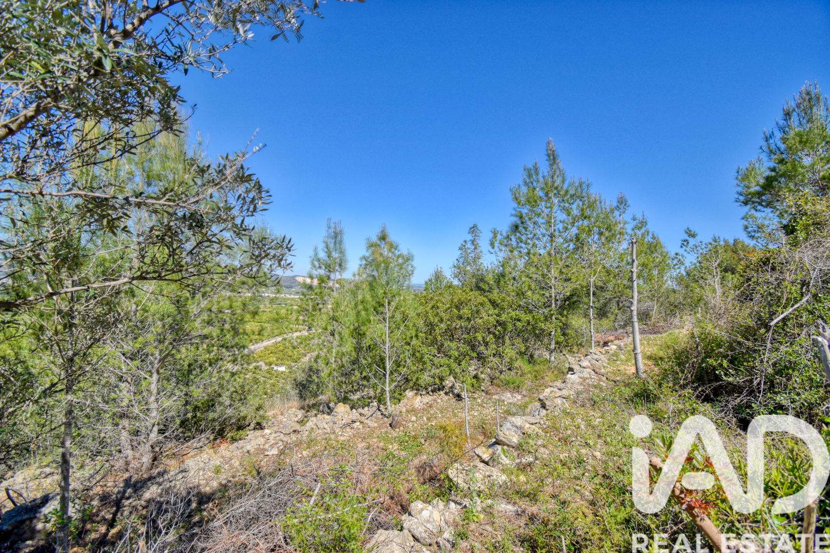 Land plot à Pego, Alicante, Espagne 3910 m2 No. 184885