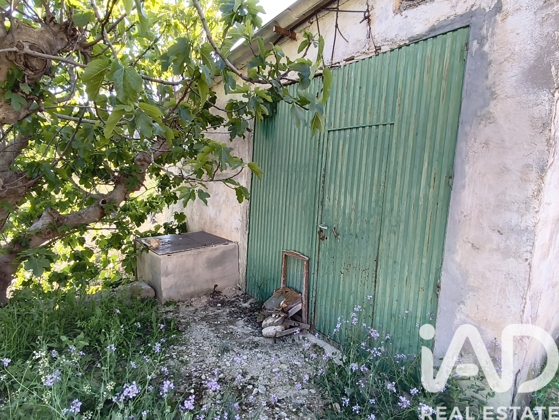 Działka w Cehegin, Murcia, Hiszpania 5124 mkw. nr 185001