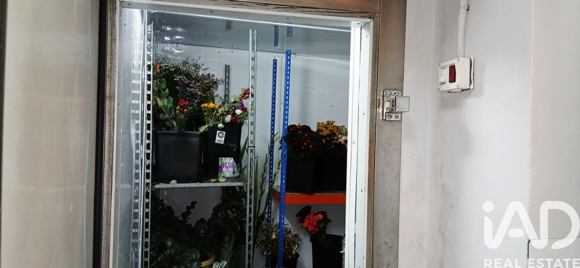 Commercial property in Velez-Malaga, Malaga, Spain 95 sq.m. No. 173055