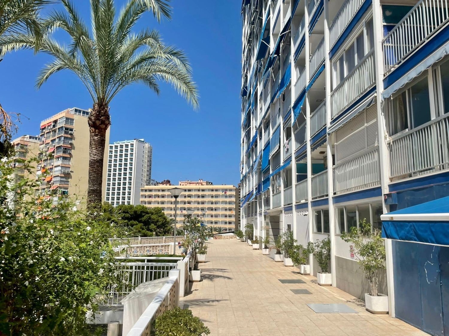 Apartament w Benidorm, Alicante, Hiszpania 2 sypialnie, 74 mkw. nr 180728