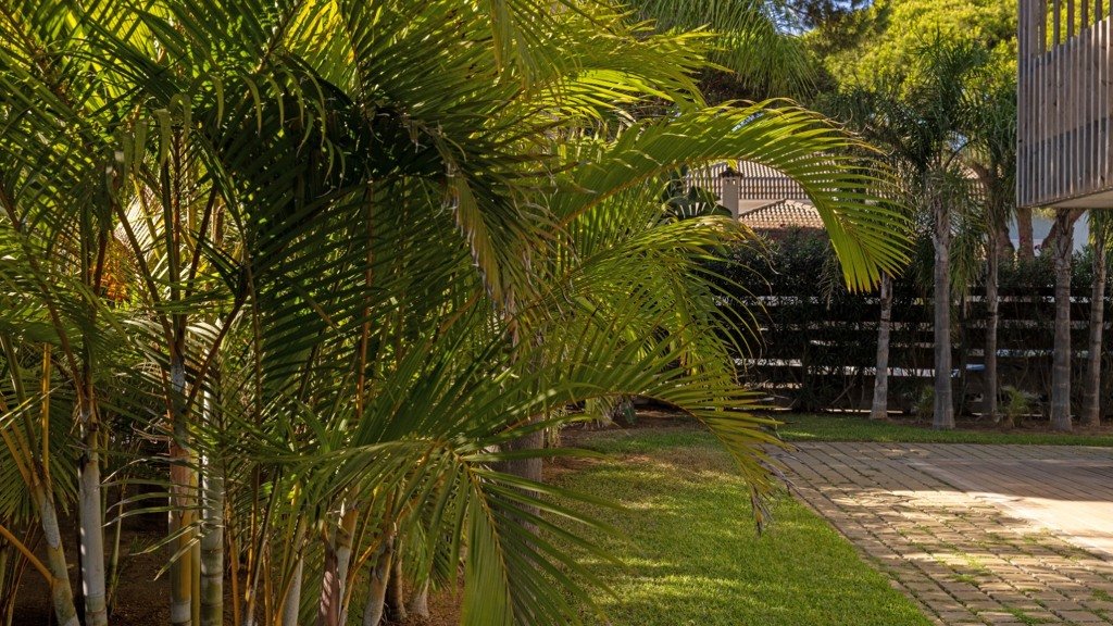 Villa i Cadiz, Spanien 6 sovrum, 661 kvm. Nr. 168632