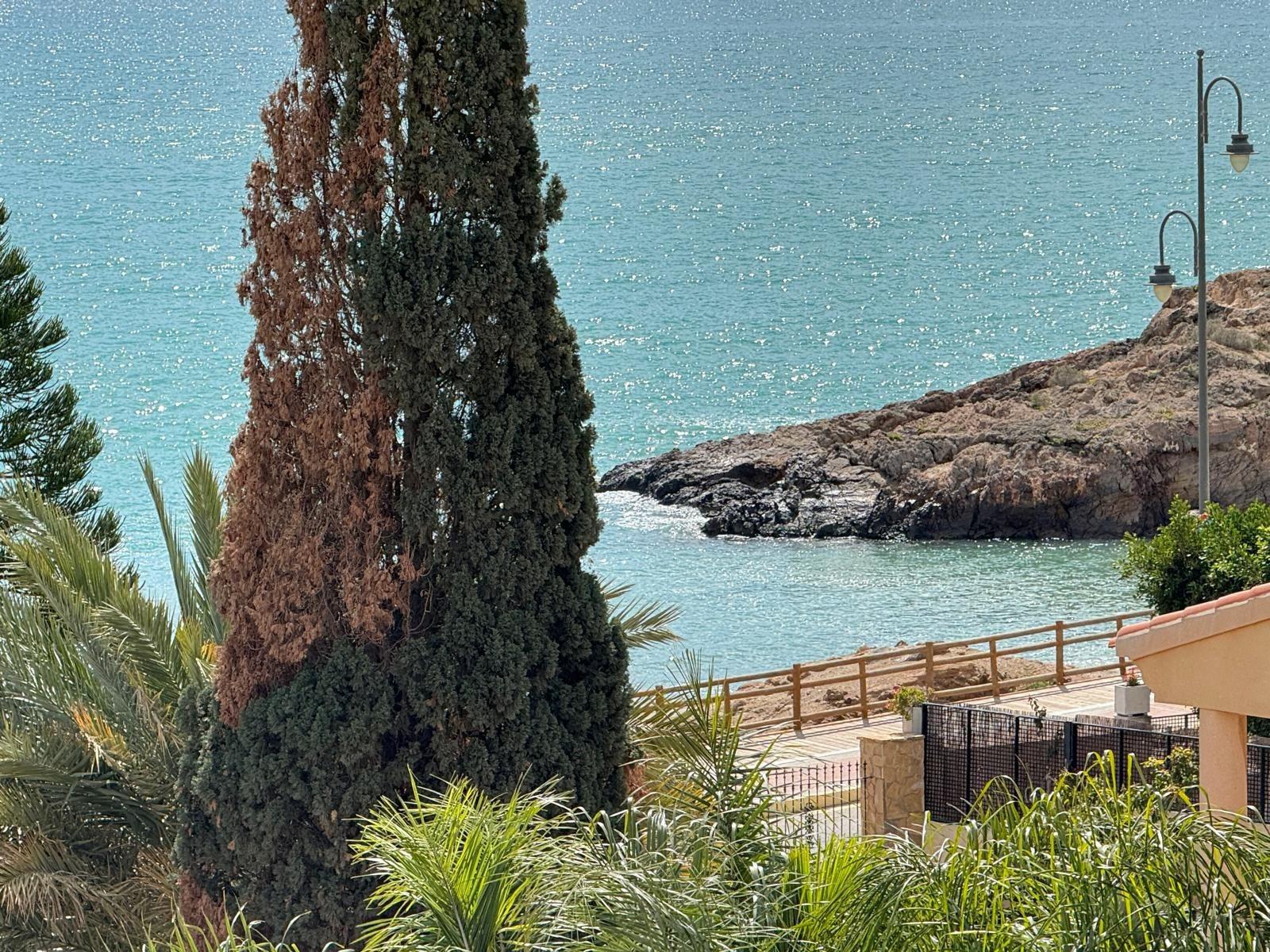 Villa a Mazarron, Murcia, Spagna 5 camere da letto, 443 mq. N° 147359
