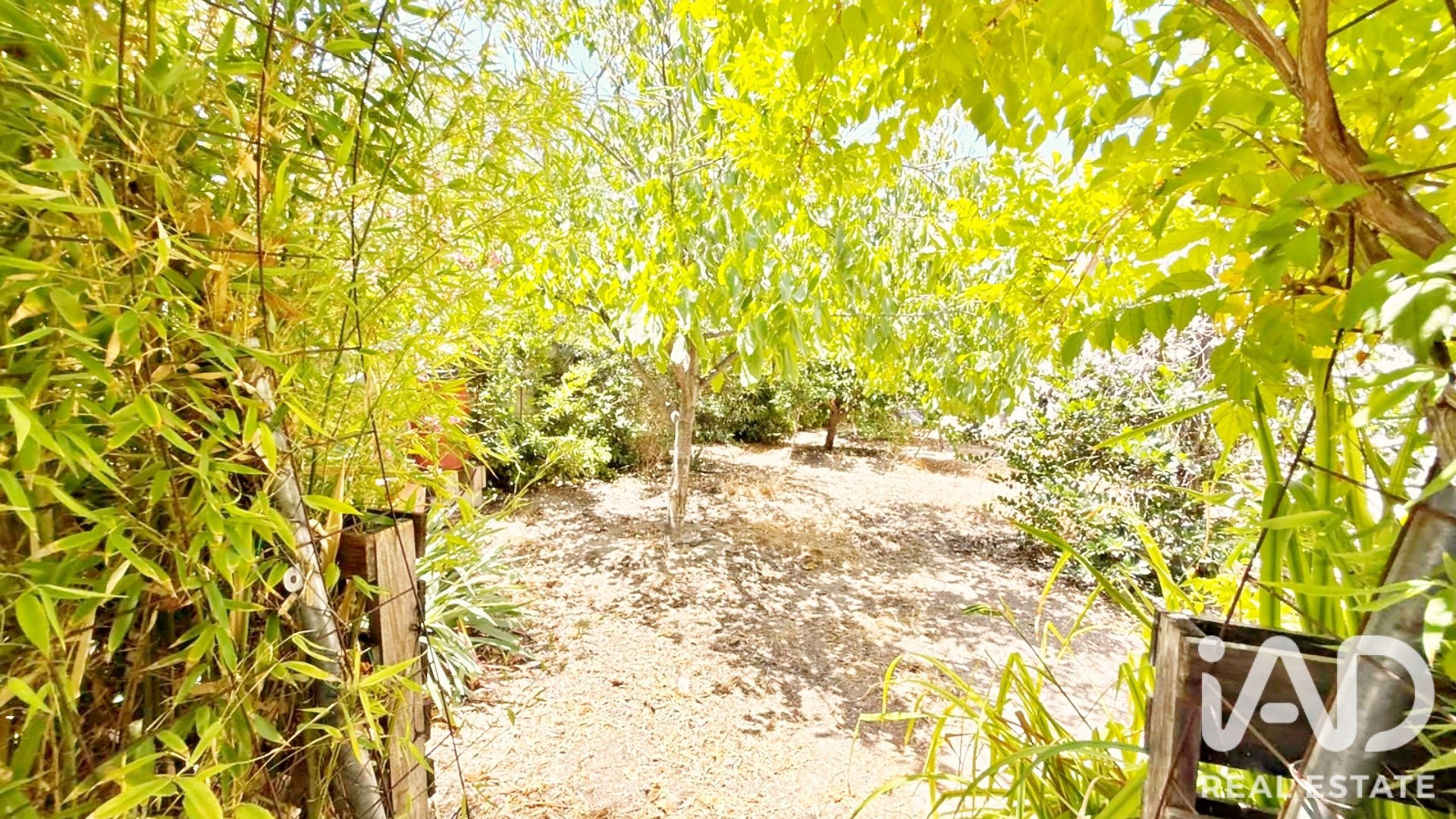 Talo Castalla, Alicante, Espanja 7 makuuhuonetta, 409 m2 No. 187647