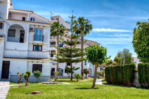 Paritalo Torrevieja, Alicante, Espanja 1 makuuhuone, 44 m2 No. 184280
