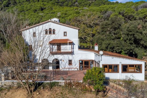Finca in Mataro, Barcelona, Spain 13 bedrooms, 651 sq.m. No. 192705