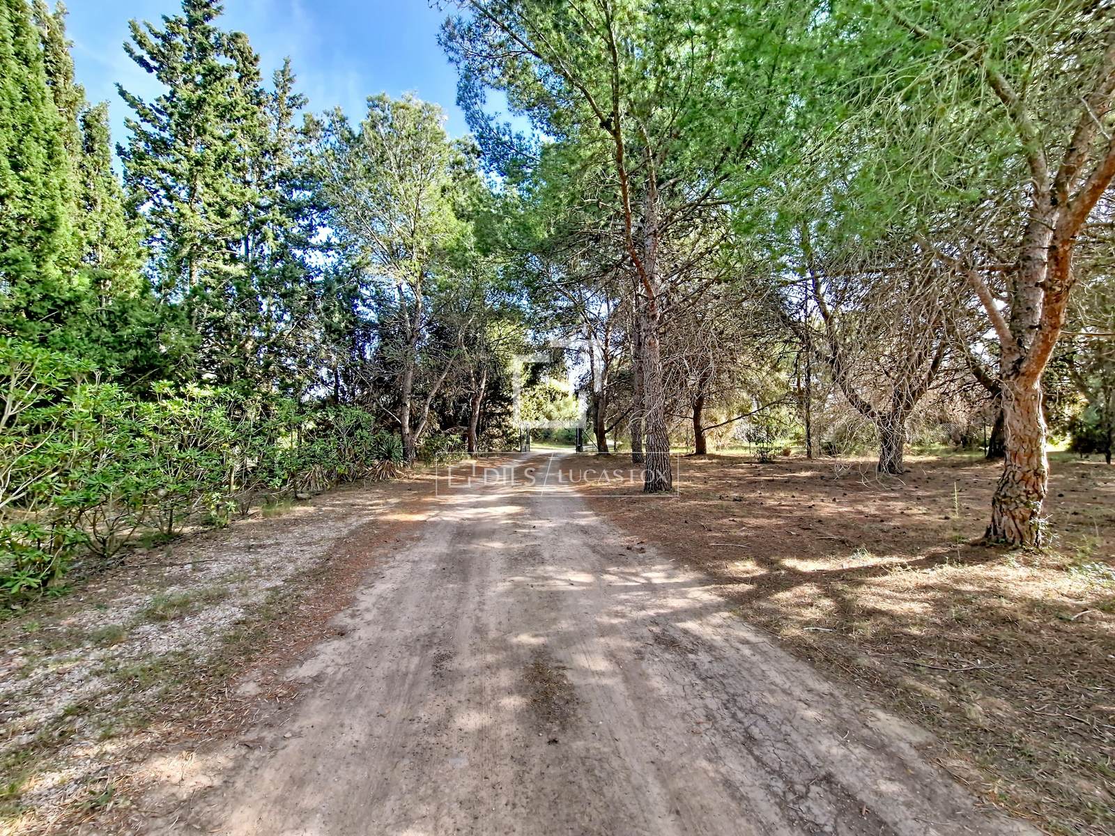 Finca in Vilanova i la Geltru, Barcelona, Spain 5 bedrooms, 248 sq.m. No. 192707