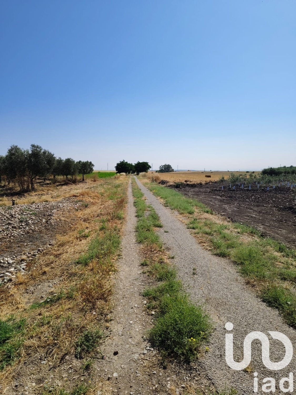 Liikekiinteistö Ecija, Seville, Espanja No. 153365