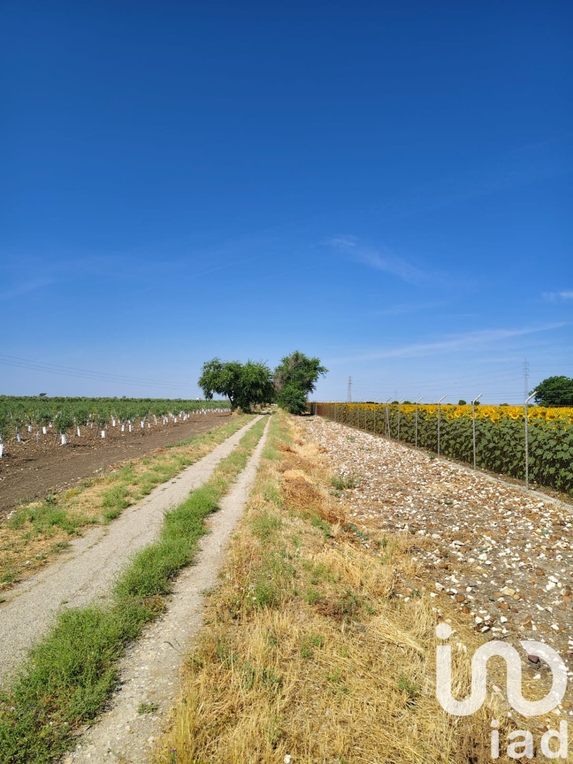 Liikekiinteistö Ecija, Seville, Espanja No. 153365