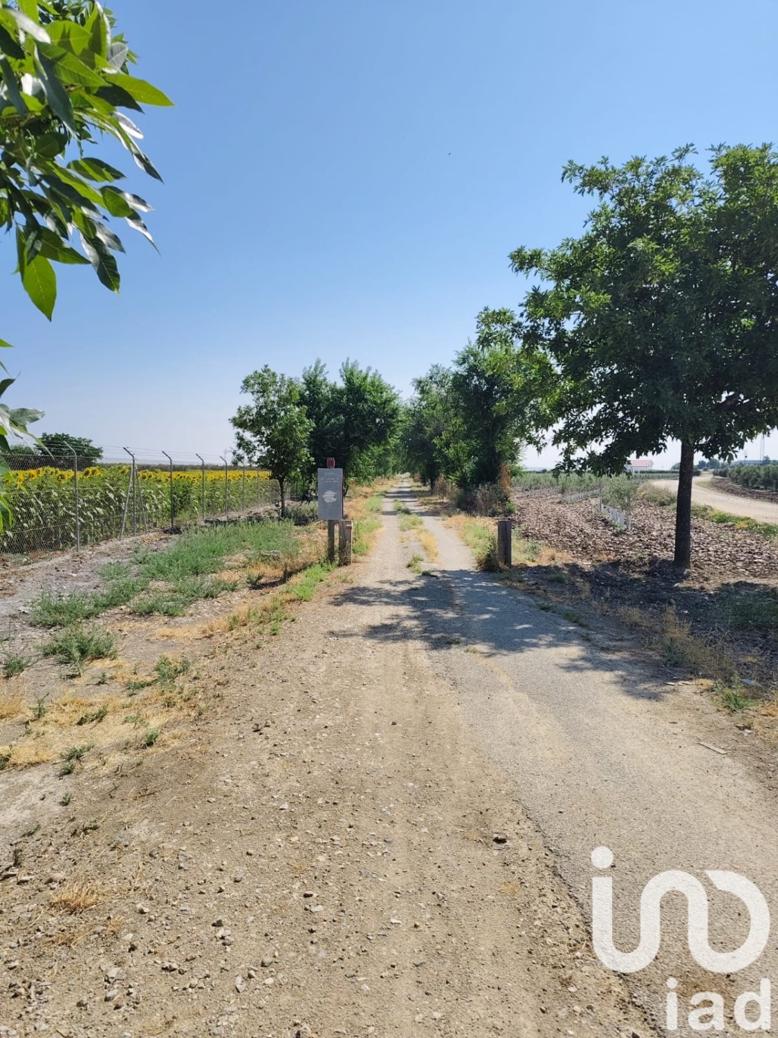Liikekiinteistö Ecija, Seville, Espanja No. 153365