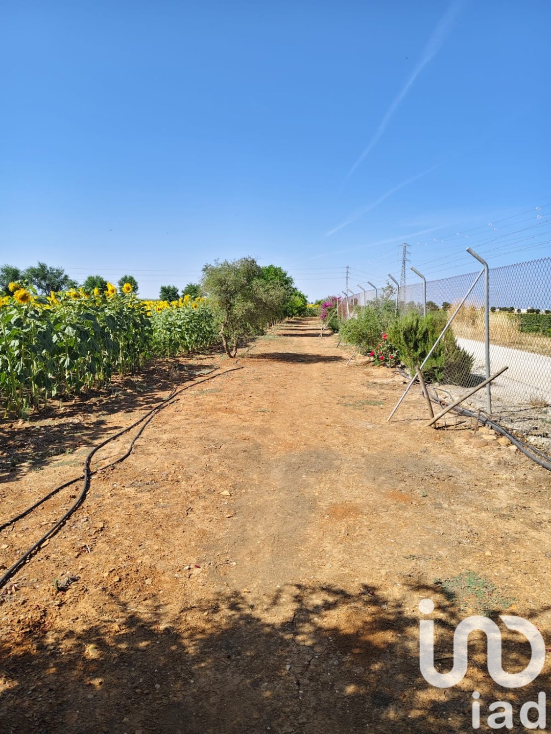 Liikekiinteistö Ecija, Seville, Espanja No. 153365