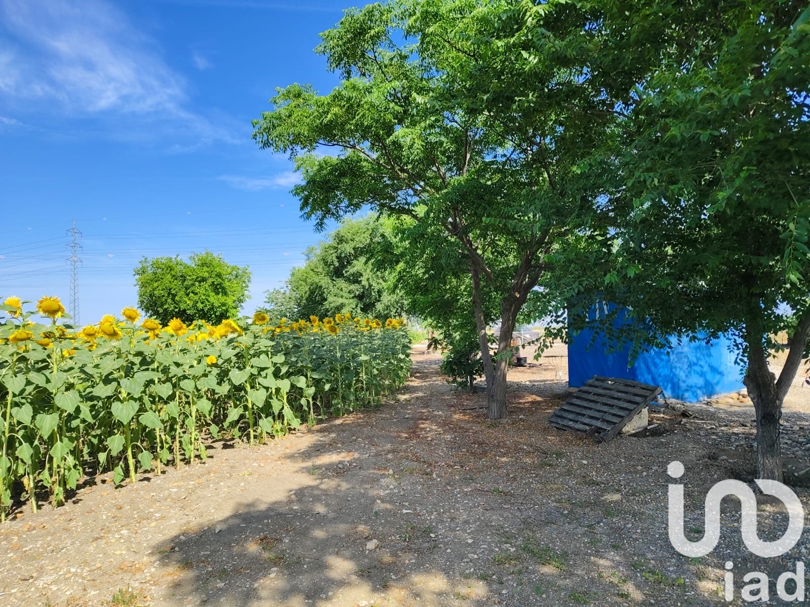Liikekiinteistö Ecija, Seville, Espanja No. 153365