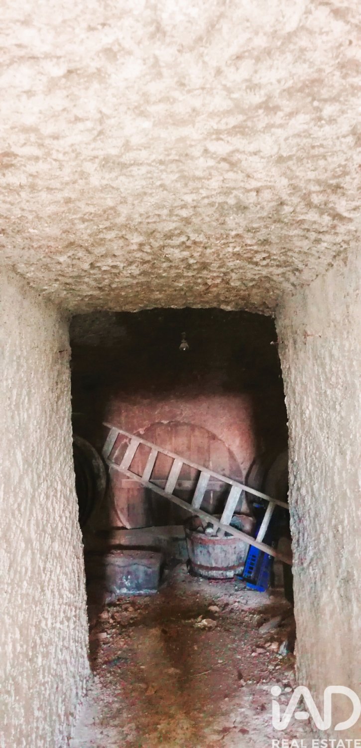 Zemes gabals San Andres del Rabanedo, Leon, Spānijā 260 m2 Nr. 184843