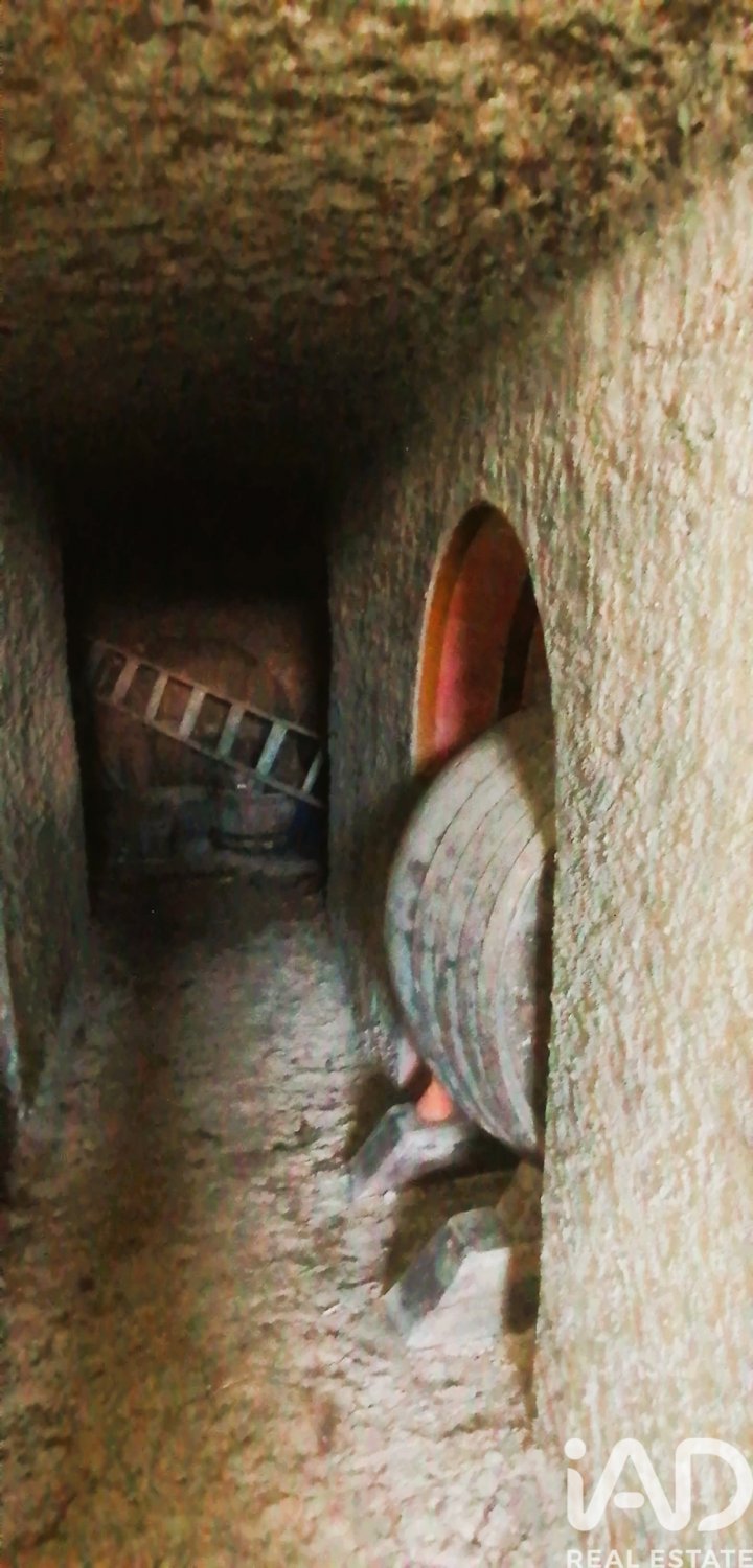 Zemes gabals San Andres del Rabanedo, Leon, Spānijā 260 m2 Nr. 184843