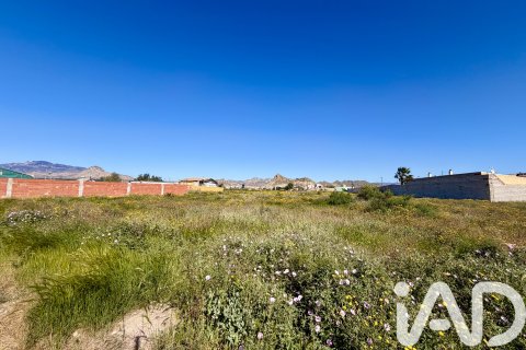 Land plot in Archena, Murcia, Spain 1081 sq.m. No. 184840