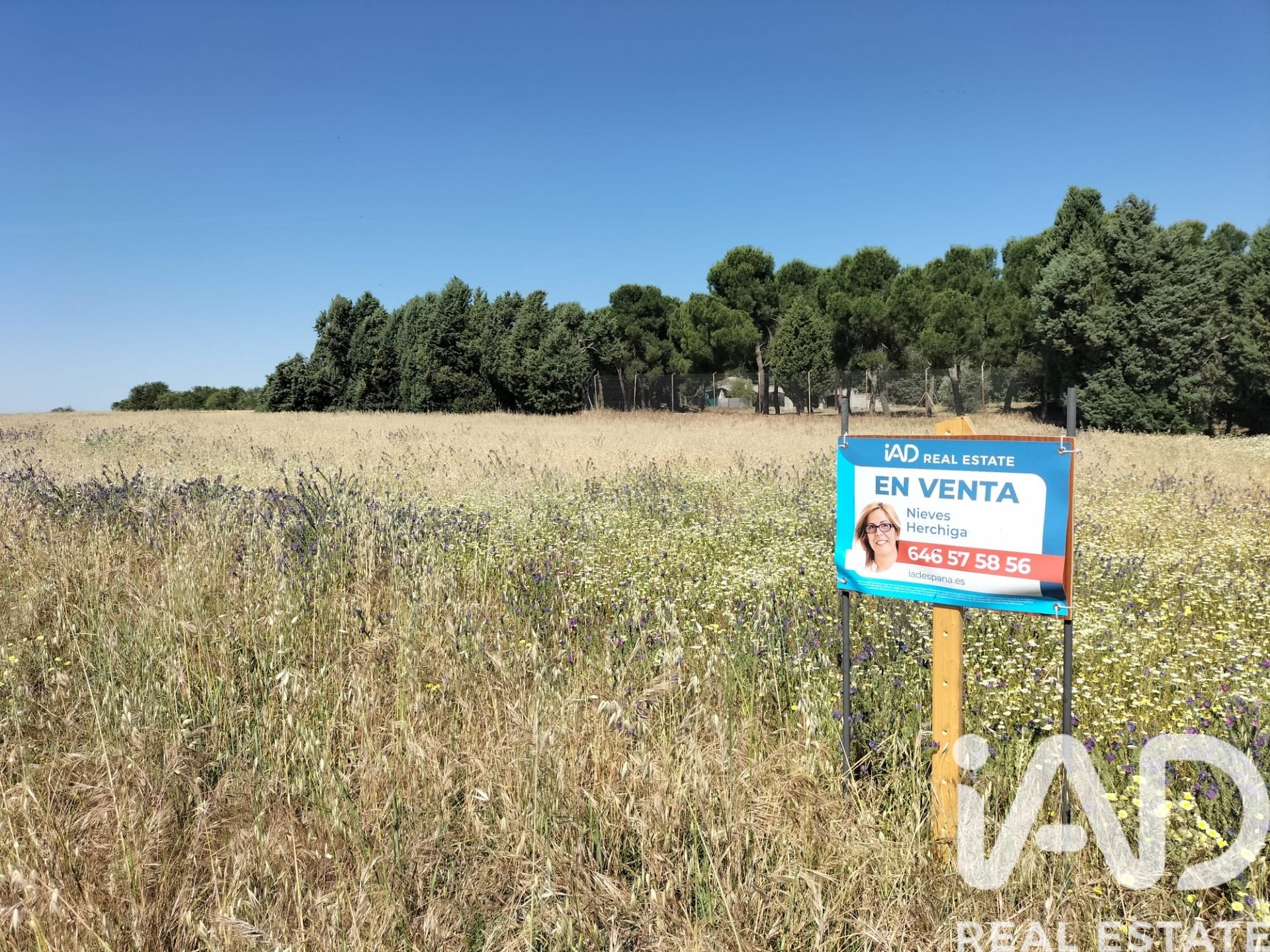 Terreno a Cubas de la Sagra, Madrid, Spagna 5941 mq. N° 184845