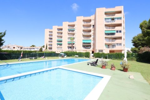 Apartament w Alicante, Hiszpania 3 sypialnie, 100 mkw. nr 189963