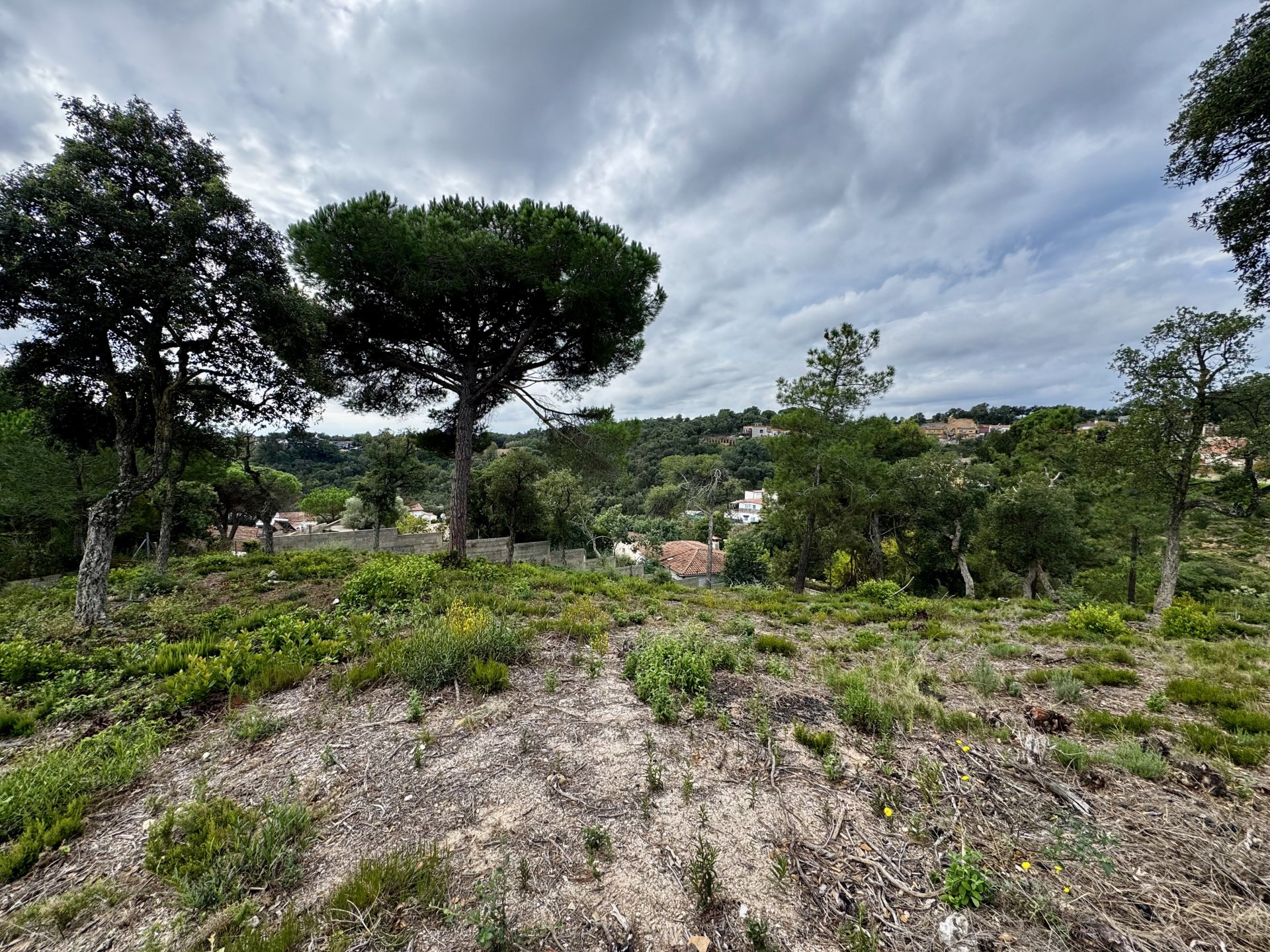 Land in Lloret de Mar, Girona, Spanien 2259 m2 Nr. 143100