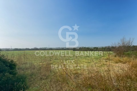 Land plot à Peralada, Girona, Espagne 413389 m2 No. 157888