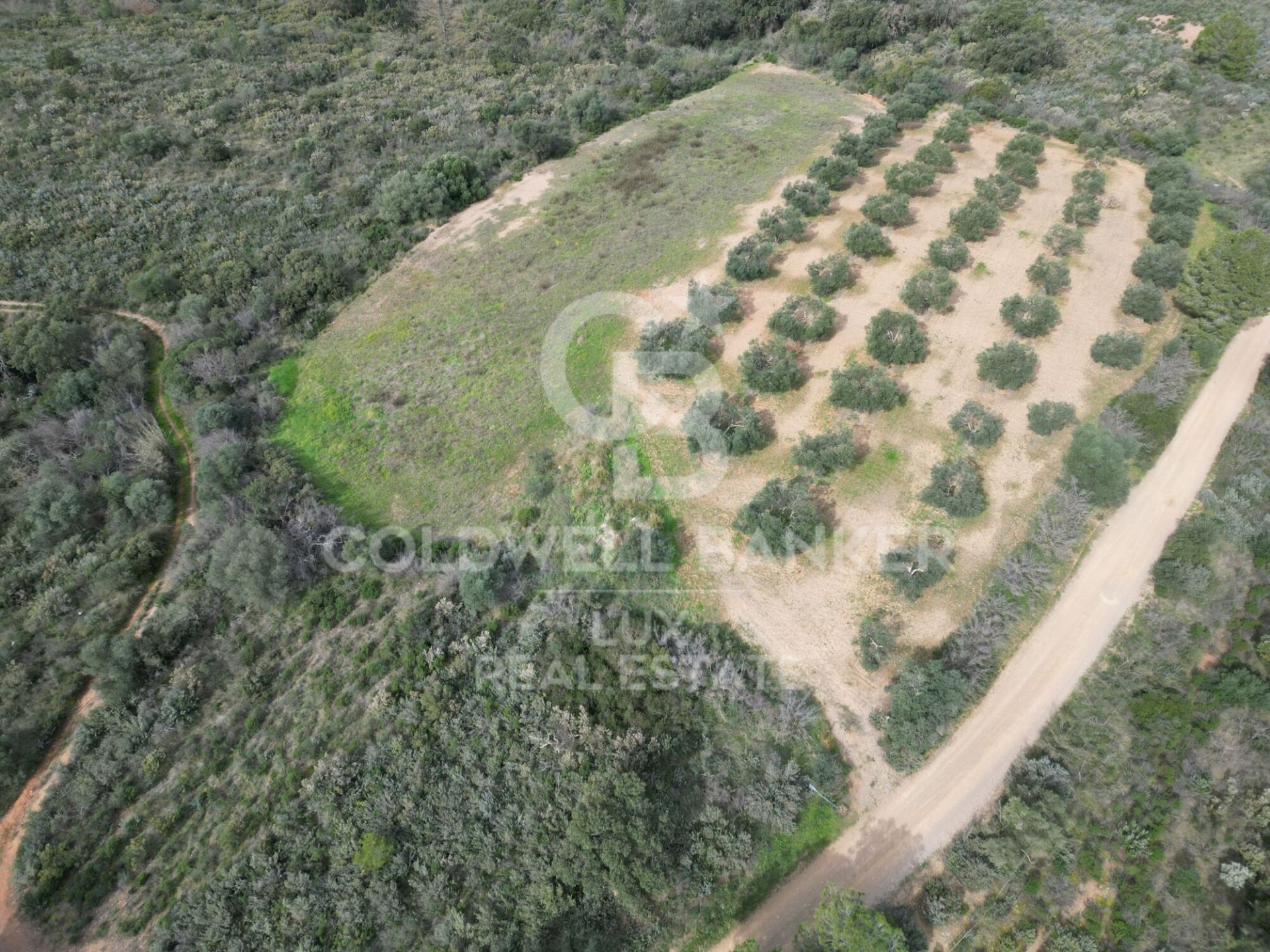 Parcela en Peralada, Gerona, España 413389 m2 No. 157888
