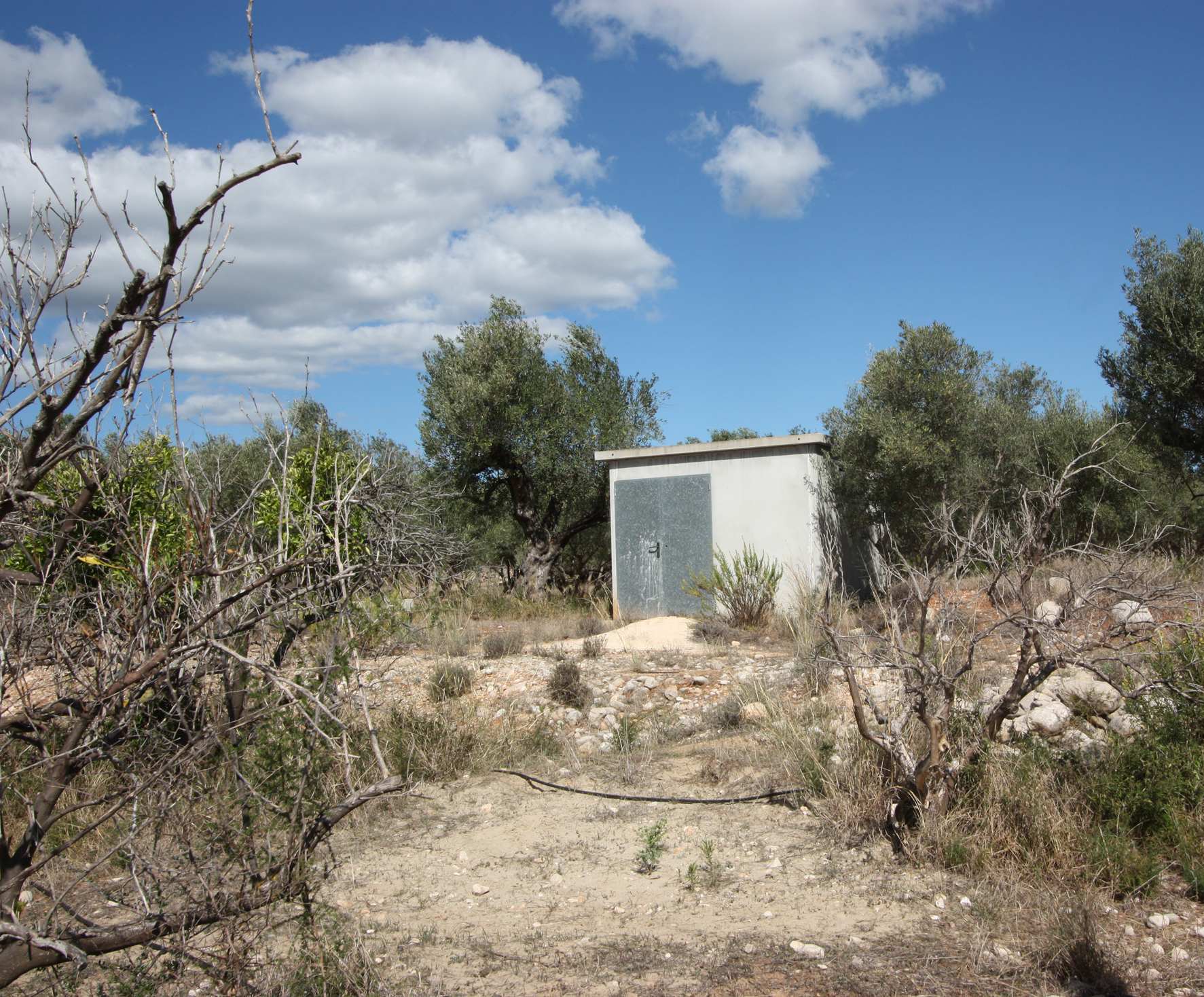 Zemes gabals Murla, Alicante, Spānijā Nr. 80479
