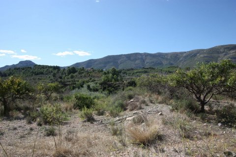 Land plot in Murla, Alicante, Spain No. 80479