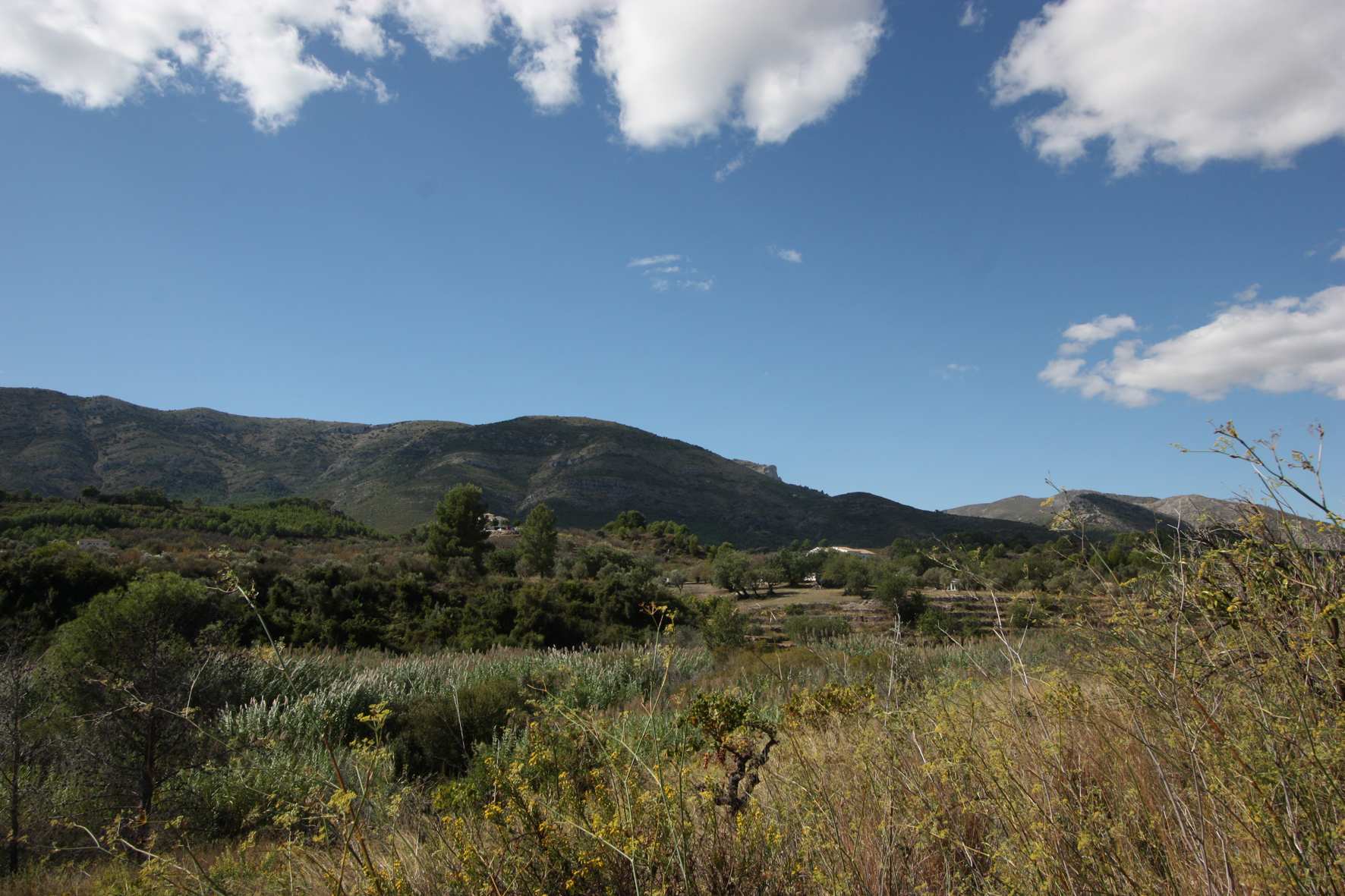 Zemes gabals Murla, Alicante, Spānijā Nr. 80479