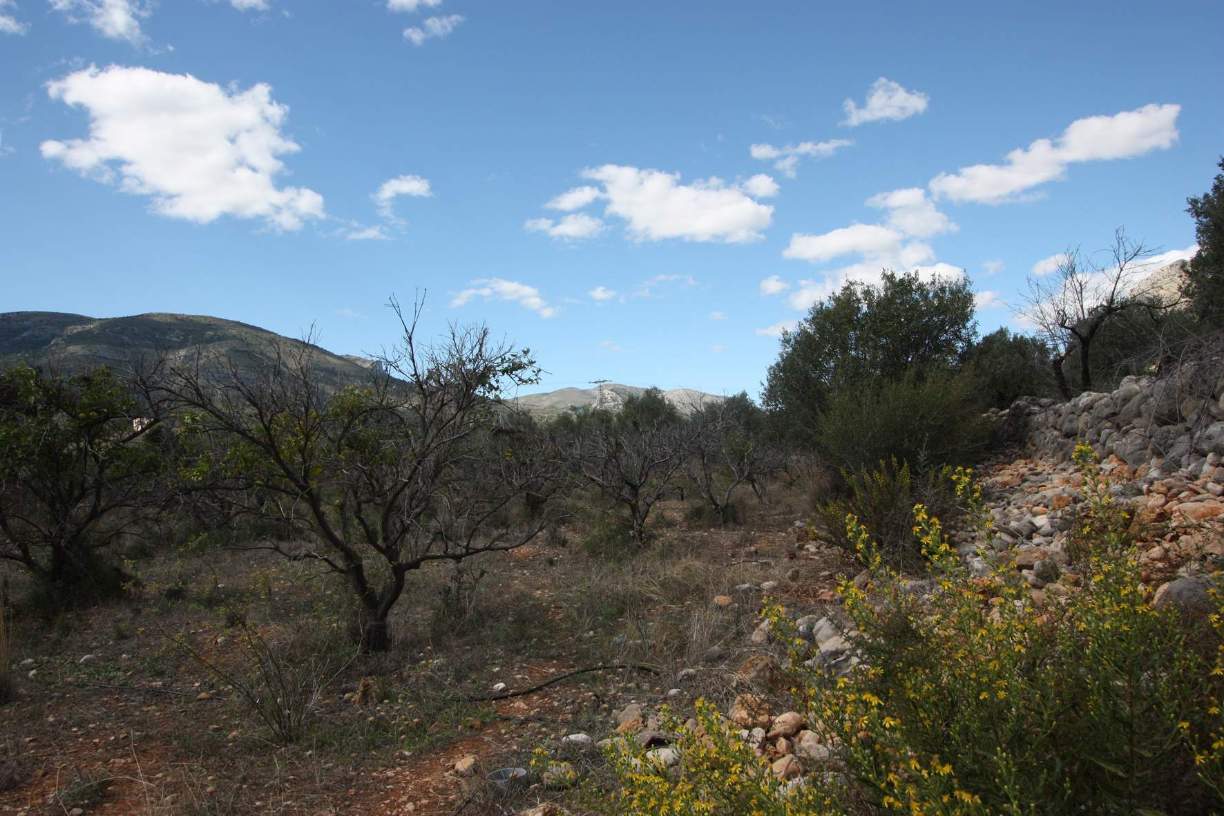 Zemes gabals Murla, Alicante, Spānijā Nr. 80479