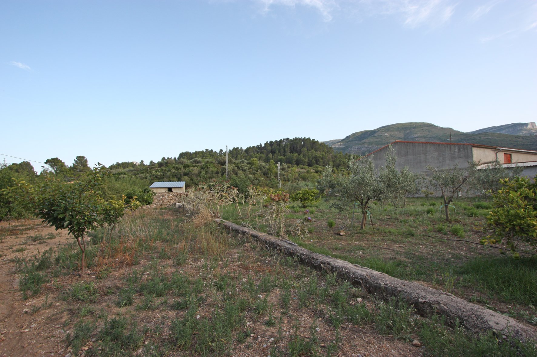 Finca Murla, Alicante, Espanja 328 m2 No. 80485