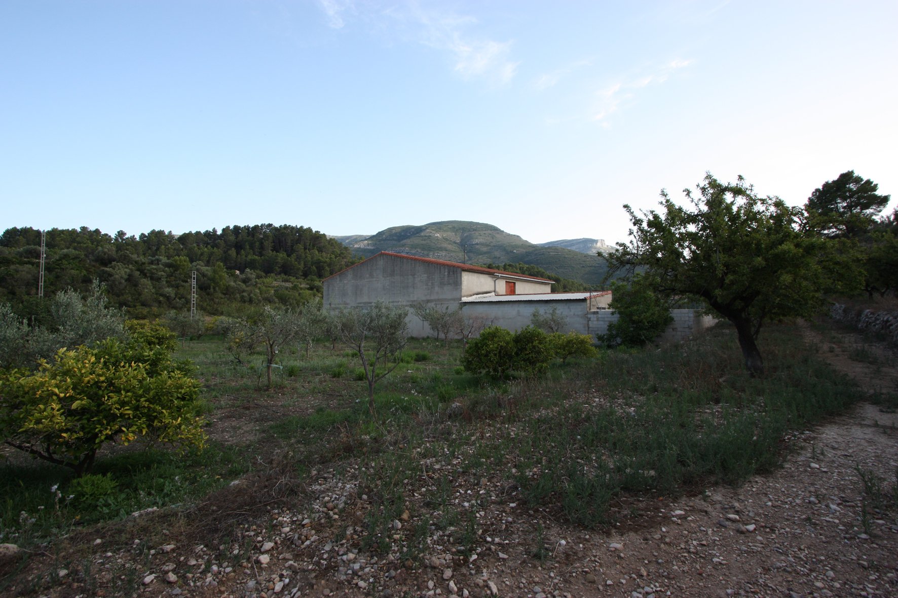 Finca Murla, Alicante, Espanja 328 m2 No. 80485
