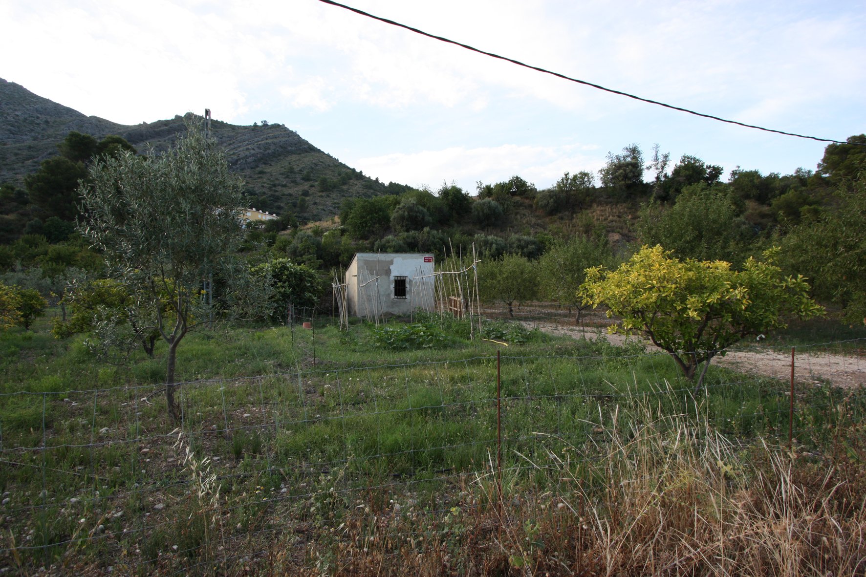 Finca Murla, Alicante, Espanja 328 m2 No. 80485