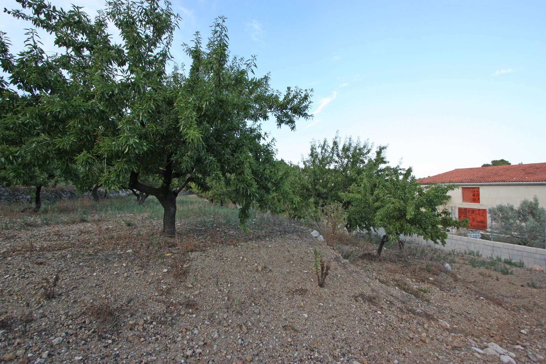 Finca Murla, Alicante, Espanja 328 m2 No. 80485