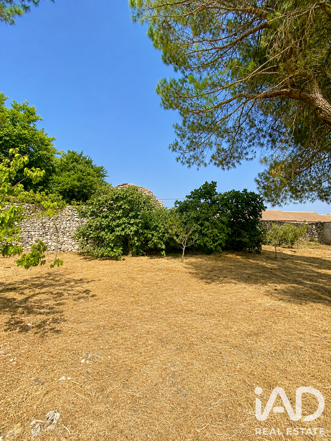 Villa in Olombrada, Segovia, Spain 5 bedrooms, 77 sq.m. No. 195118