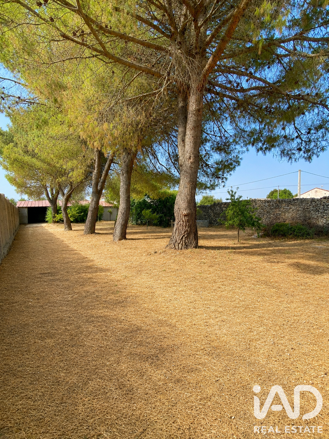 Villa in Olombrada, Segovia, Spain 5 bedrooms, 77 sq.m. No. 195118