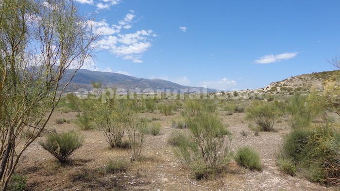 Zemes gabals Tijola, Almeria, Spānijā Nr. 184062