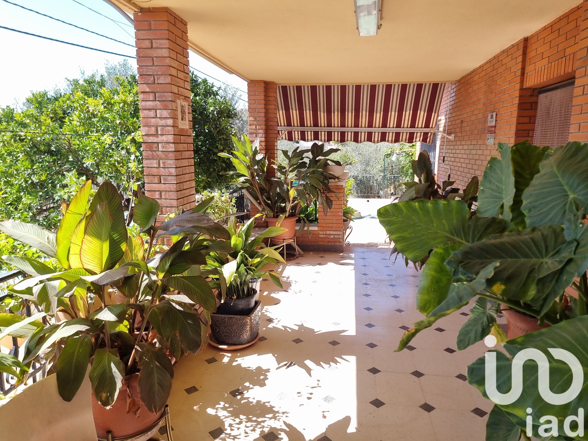 Hus i Sax, Alicante, Spanien 4 sovrum, 291 kvm. Nr. 153038