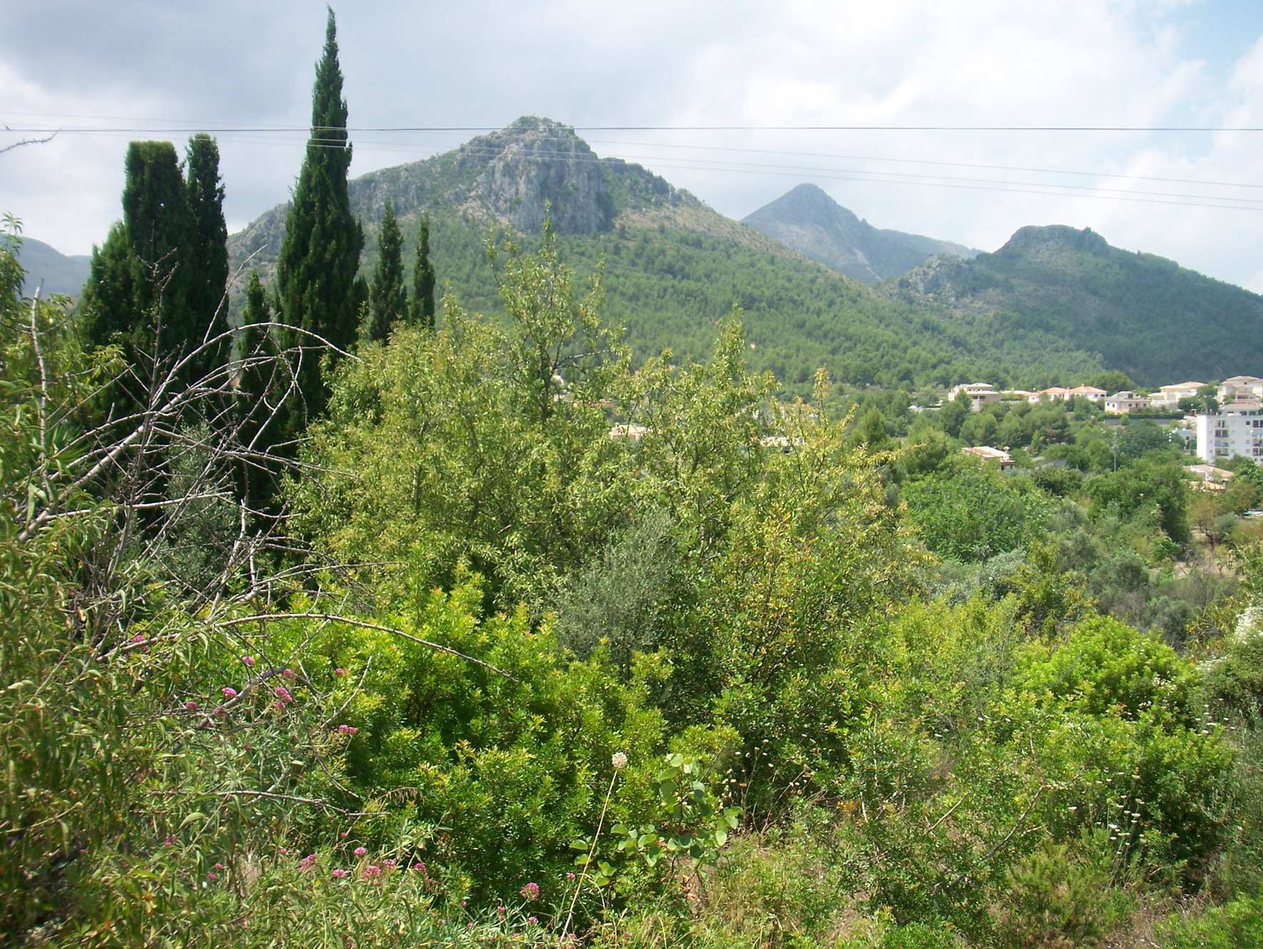 Tomt i Orba, Alicante, Spanien Nr. 183958