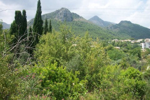 Tomt i Orba, Alicante, Spanien Nr. 183958