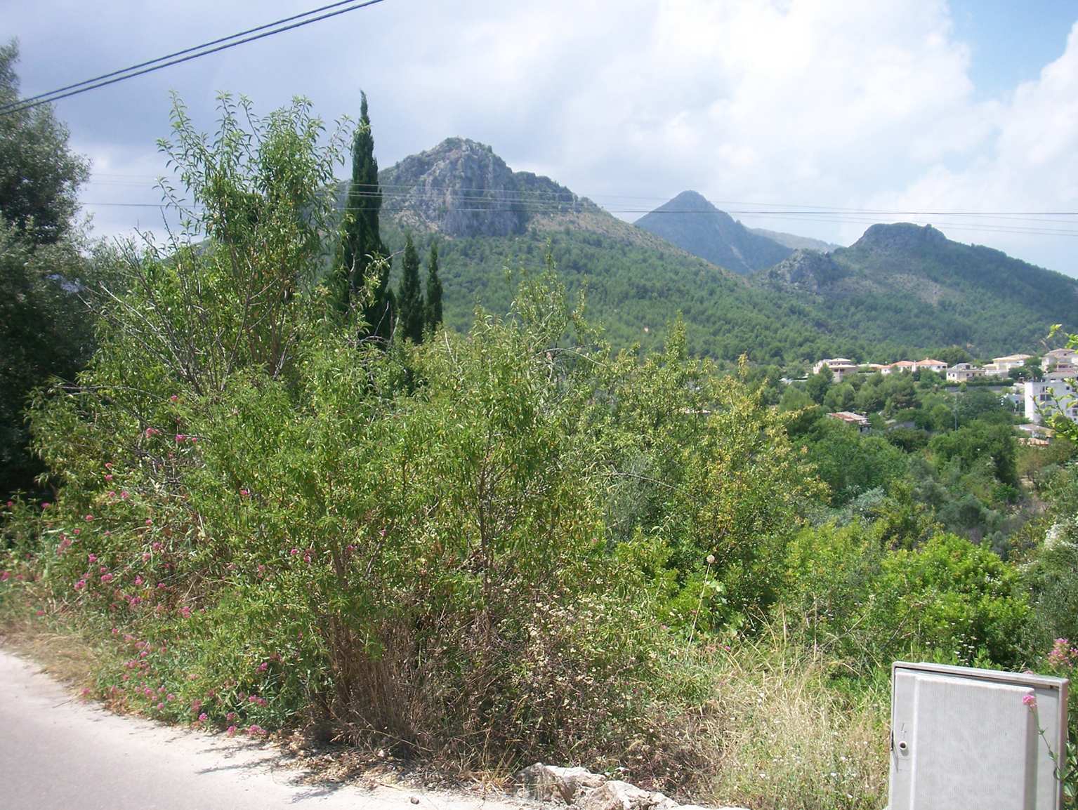 Tomt i Orba, Alicante, Spanien Nr. 183958